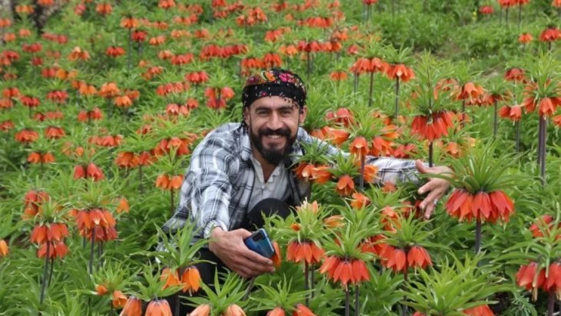 'Ağlayan Gelinler'den görsel şölen