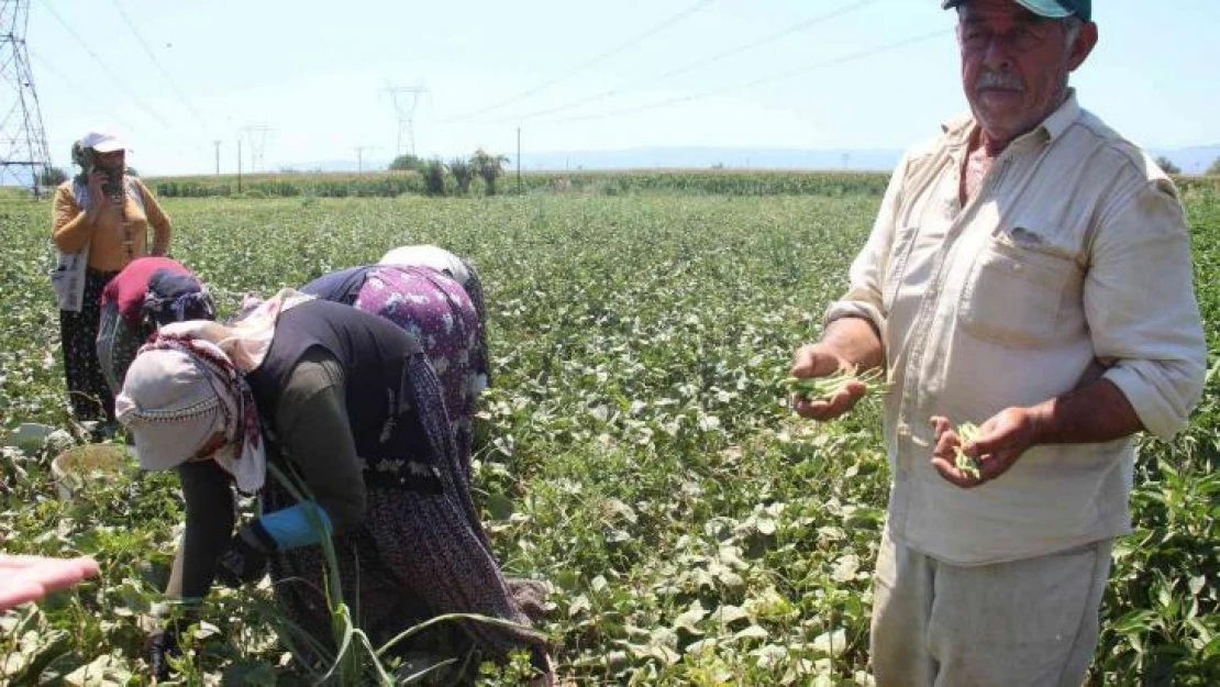 10 kilometrelik mesafede fiyatı iki katına çıkıyor