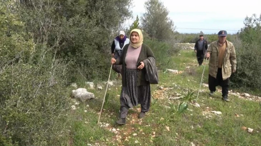 4 gündür kayıp olan 3 çocuk annesi kadın zeytinlikte bulundu