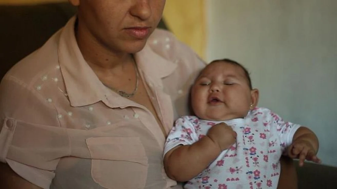 ABD ve Kanada'da Zika virüsü görüldü