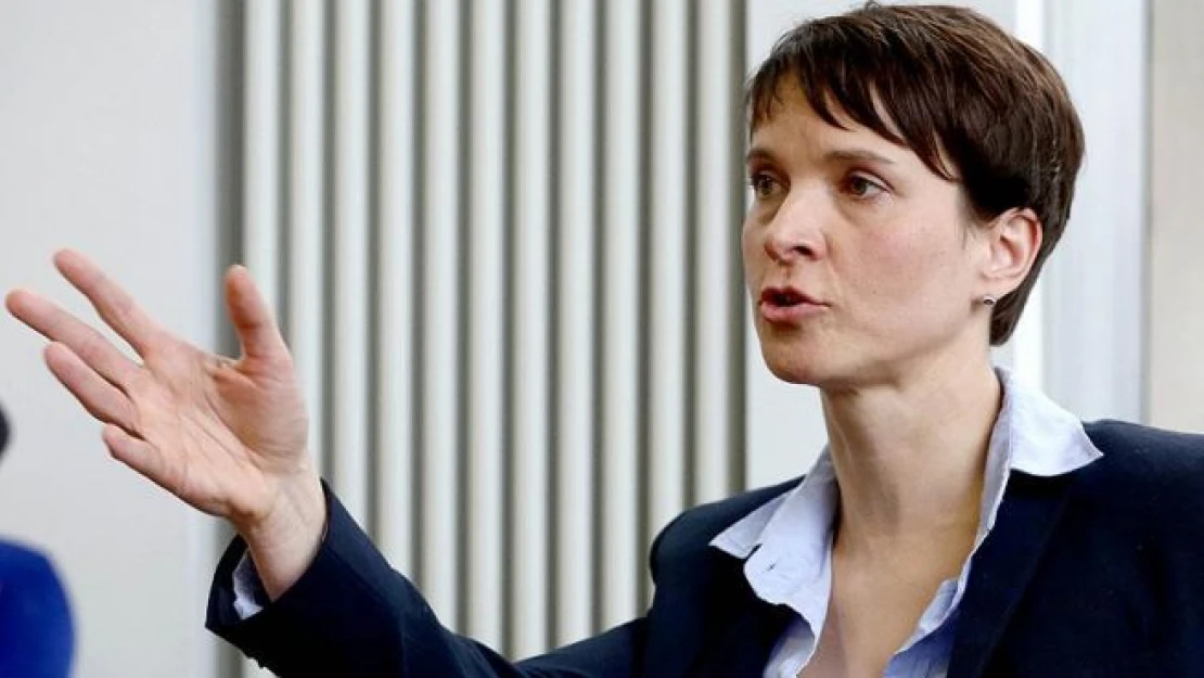 AfD Başkanı sığınmacıları sorumlu tutu