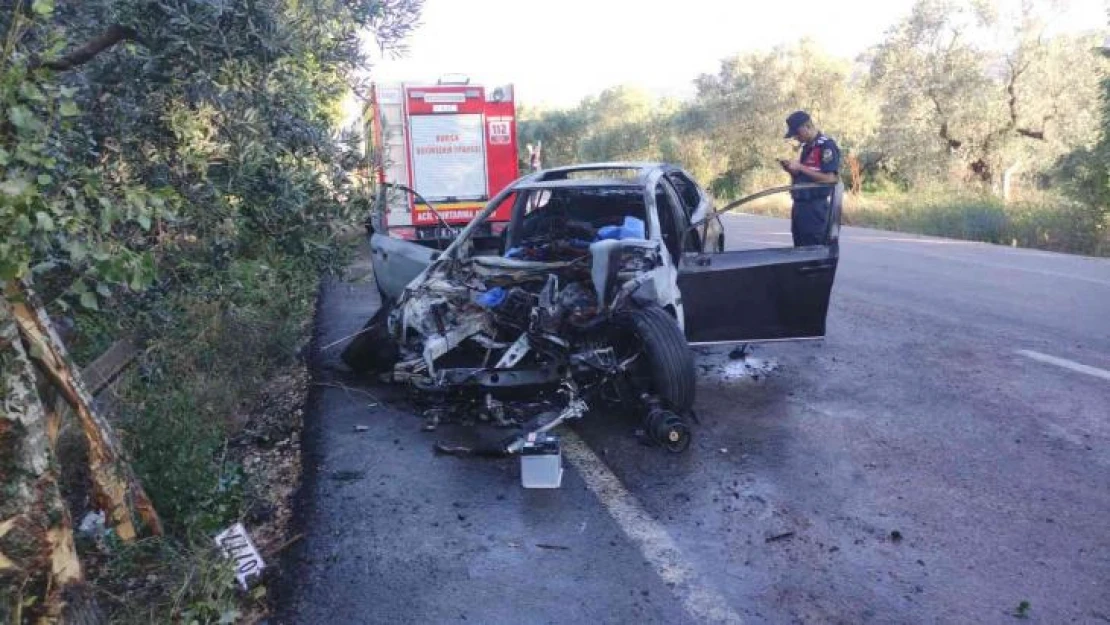 Ağaca çarpıp alev alan otomobilin sürücüsü feci şekilde can verdi