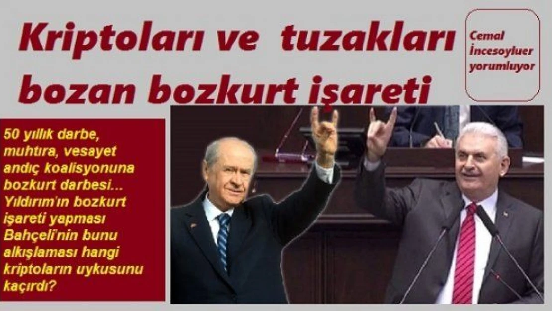 AK Parti ve MHP'nin 'bozkurt' kardeşliğinin kodları...