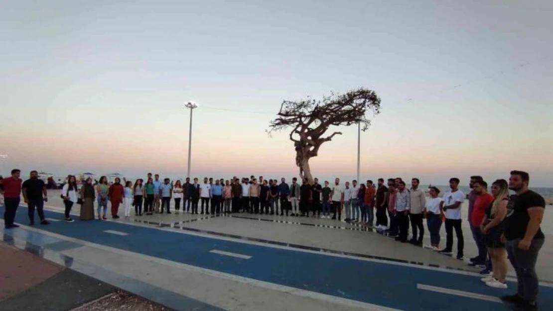 AK Partili gençlerden Mersin'deki ağaç katliamına tepki