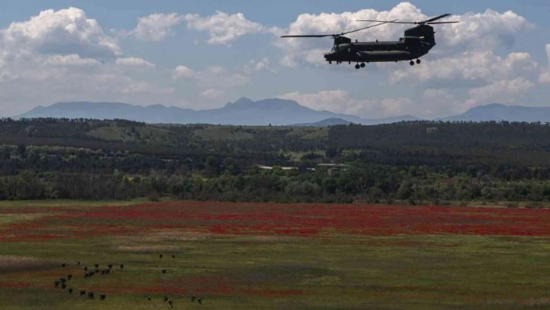 Almanya, 60 adet Chinook tipi helikopter alacak