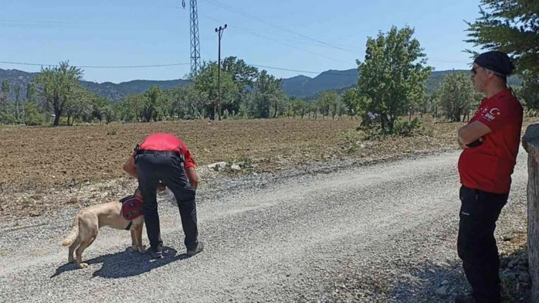 Antalya'da kayıp yaşlı kadını arama çalışmaları 6'nci gününde sürüyor