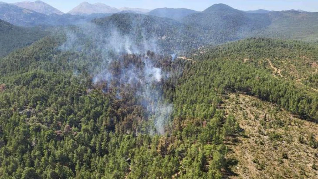 Antalya'da orman yangını kontrol altına alındı