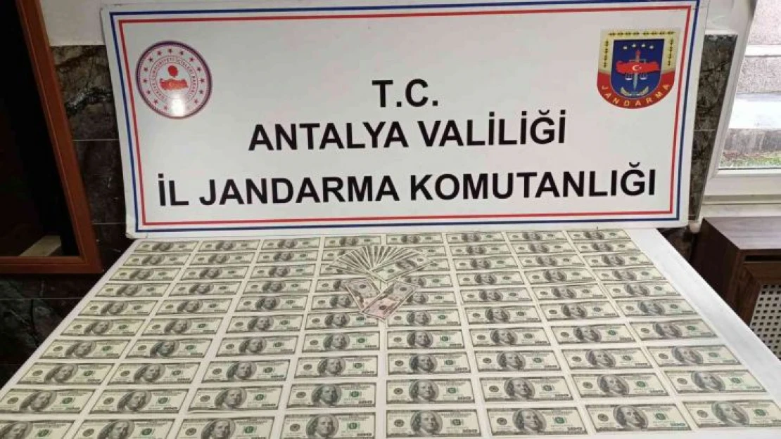 Antalya'da sahte dolar operasyonu: 2 gözaltı