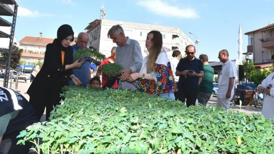 Ata tohumları, toprakla buluşuyor