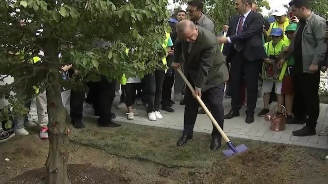 Atatürk Havalimanı Millet Bahçesi'ne ilk fidanları Erdoğan çifti dikti