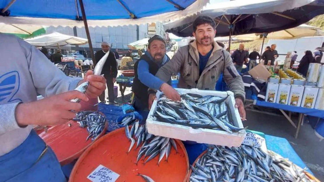 Balıkçıların müşteri kapma yarışı renkli görüntülere sahne oldu