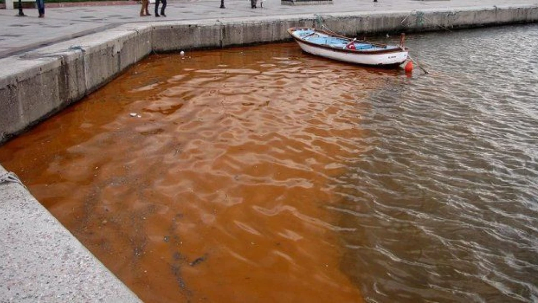 Bandırma'da deniz kırmızıya büründü