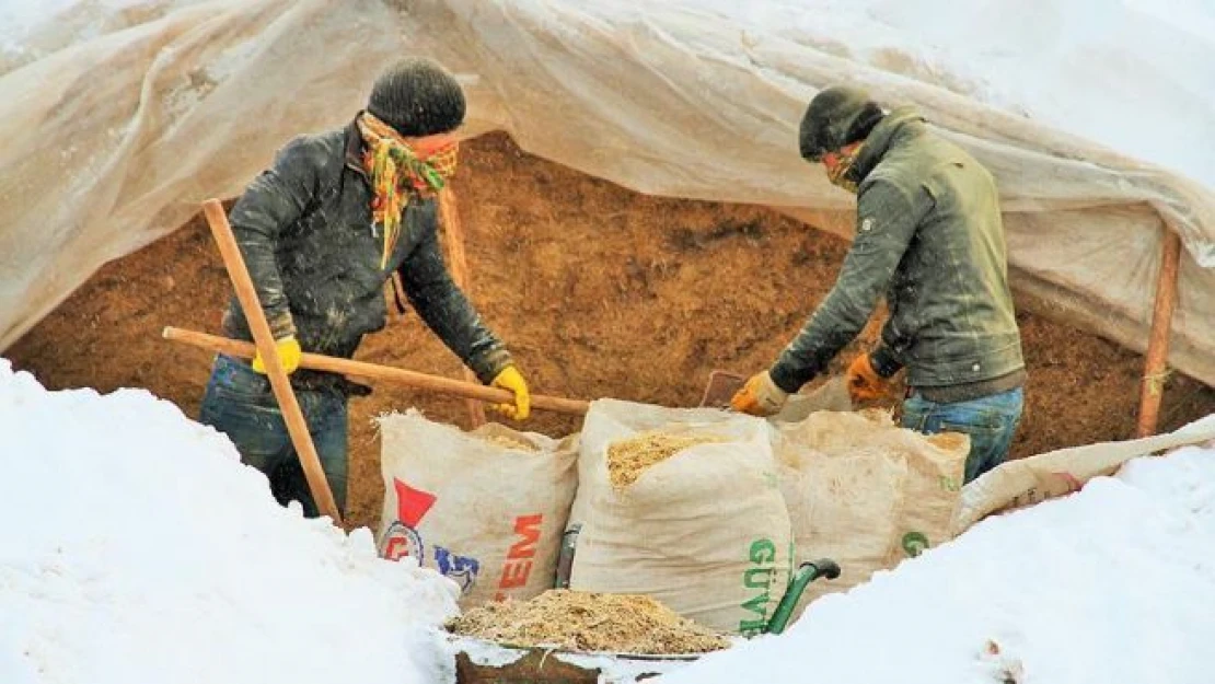 Besicilerin kış çilesi