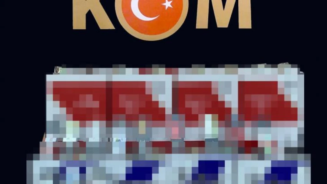 Binlerce gümrük kaçağı makarona el konuldu