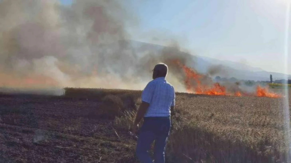 Buğday tarlası yangında küle döndü