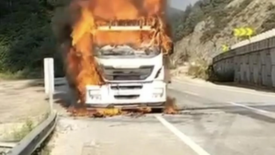 Bursa'da seyir halindeki tır alev alev yandı