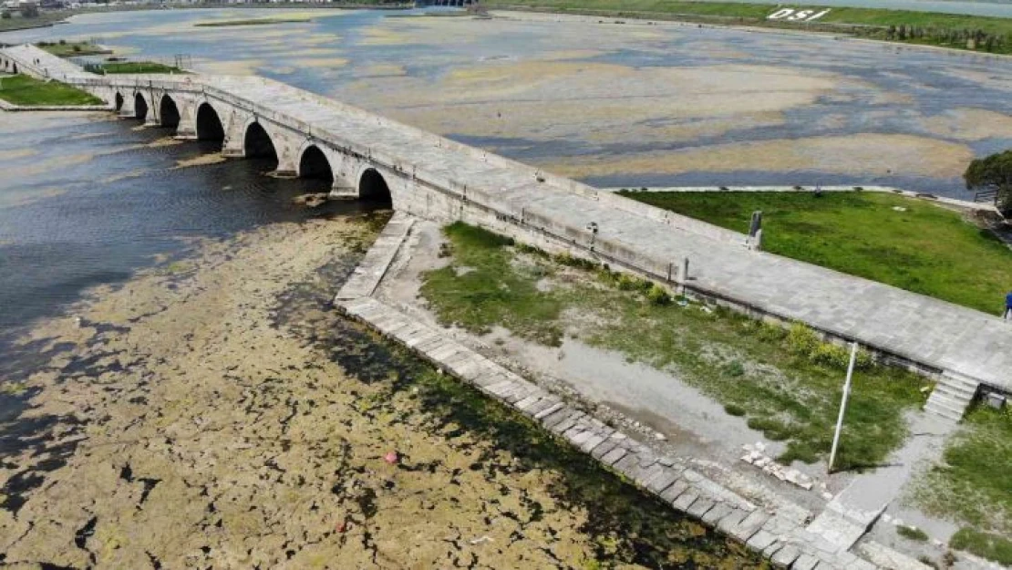 Büyükçekmece Gölü'nde yosun istilası