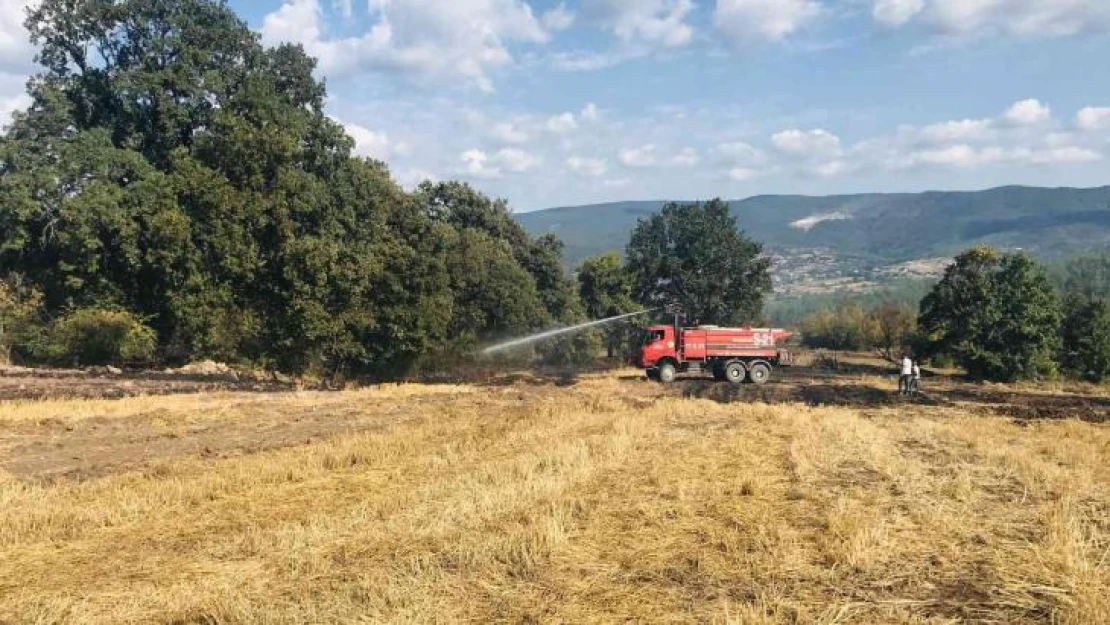 Çanakkale'de çıkan orman yangını kontrol altına alındı