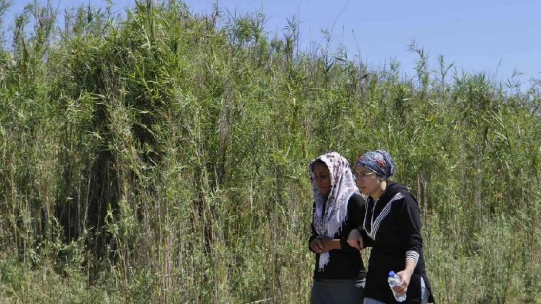 Ceyhan Nehri'nde kaybolan çocuk 3 gündür aranıyor