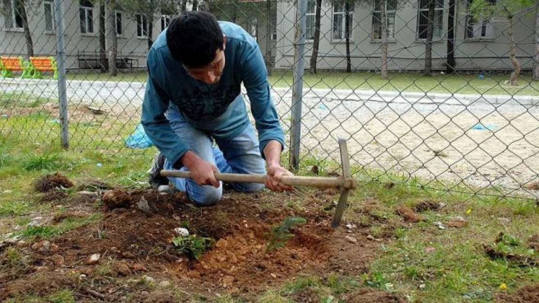 Cezalarını çalışarak tamamlayıp ekonomiye katkı sağladılar