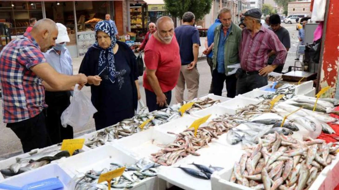 Çinakop tezgahlarda, gözler hala palamutta