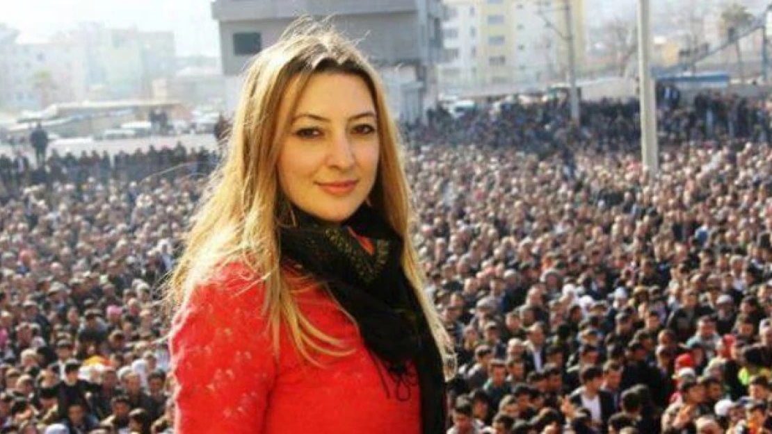 Cizre Belediye Başkanı'ndan haince açıklama