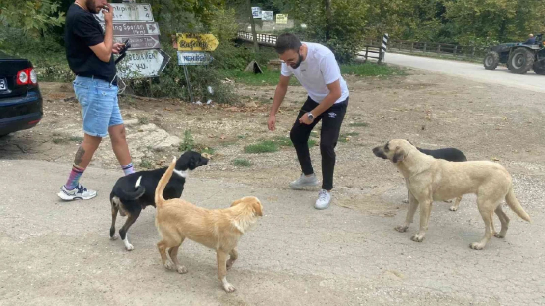 Demir yumruklar sokak hayvanlarını besledi