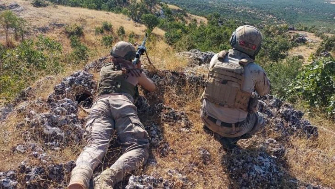 Diyarbakır'da 'Eren Abluka-33 Şehit Jandarma Uzman Çavuş Muhammet Tufan' operasyonu başlatıldı