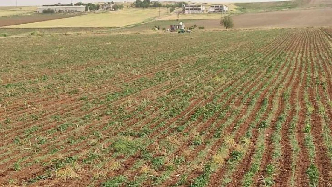 Diyarbakır'da yıldırım çarpması sonucu bir çocuk öldü