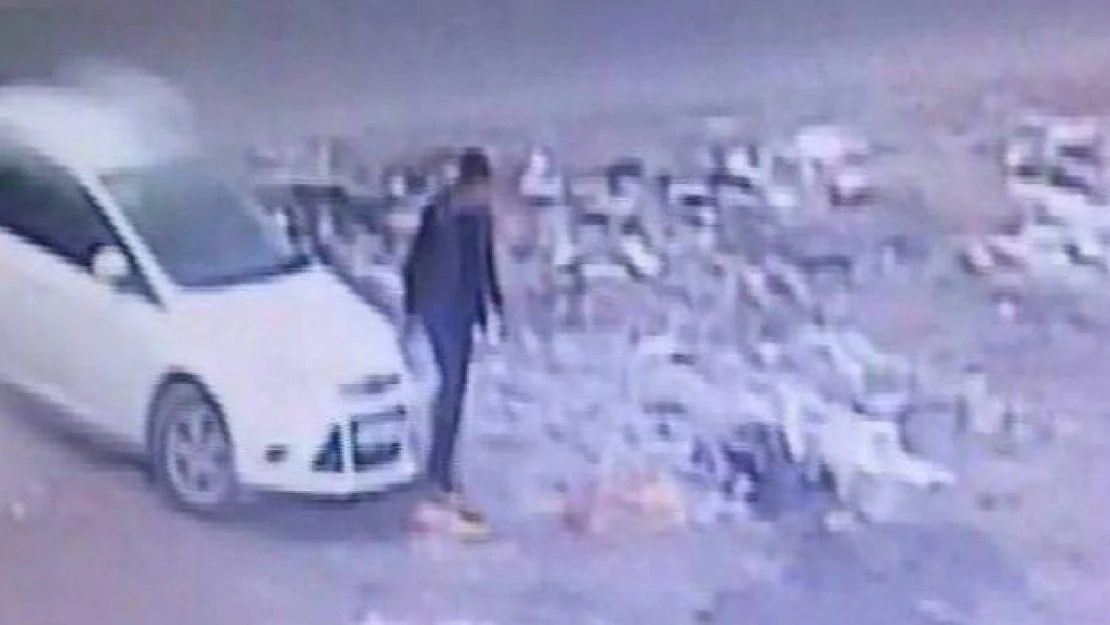 Diyarbakır'da 7 polisi şehit eden o PKK'lının sağ kolu gözden kaçmadı
