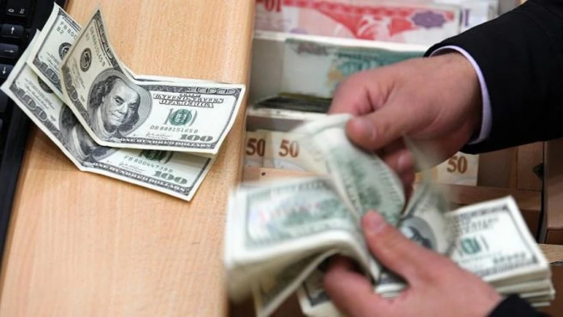 Dolar geçen yıl yatırımcısının yüzünü güldürdü