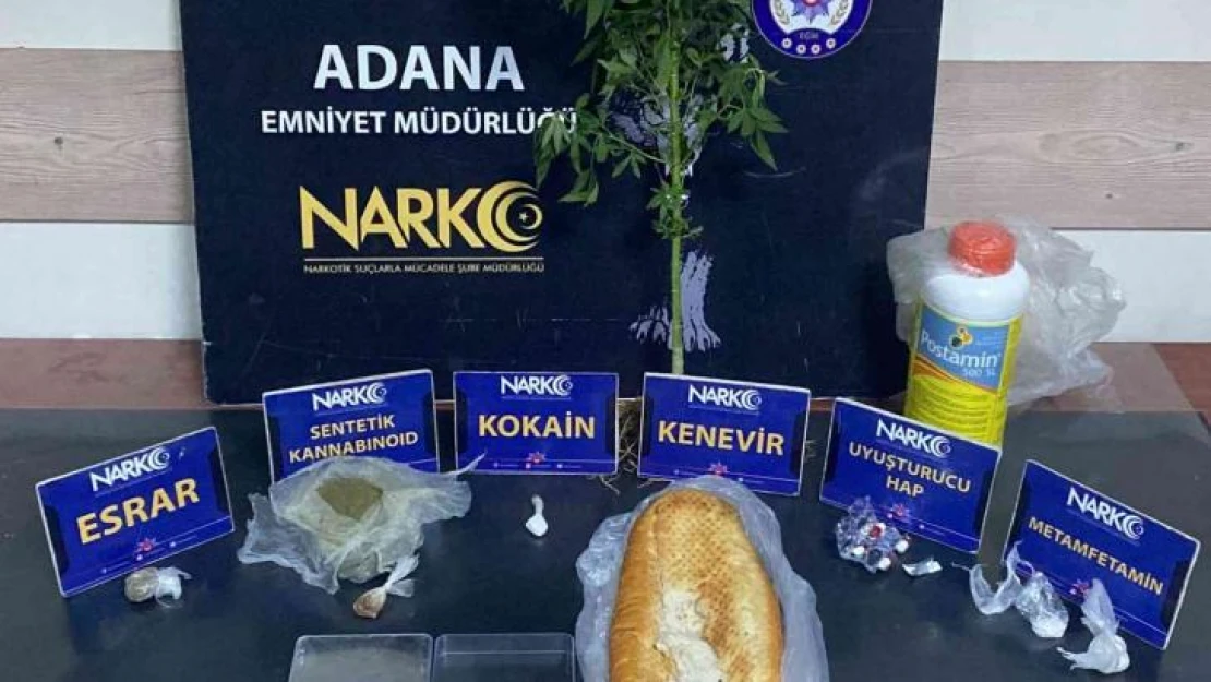 Ekmek arası uyuşturucu sevkiyatı