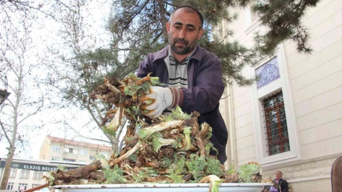 Elazığ'da 'Çiriş' ve 'Kenger' otu, tezgahlardaki yerini aldı