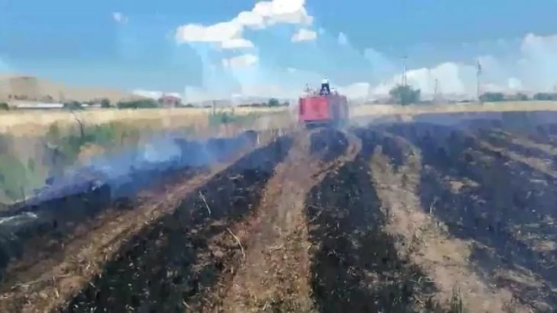 Elazığ'da 12 dönüm ekili alan kül oldu