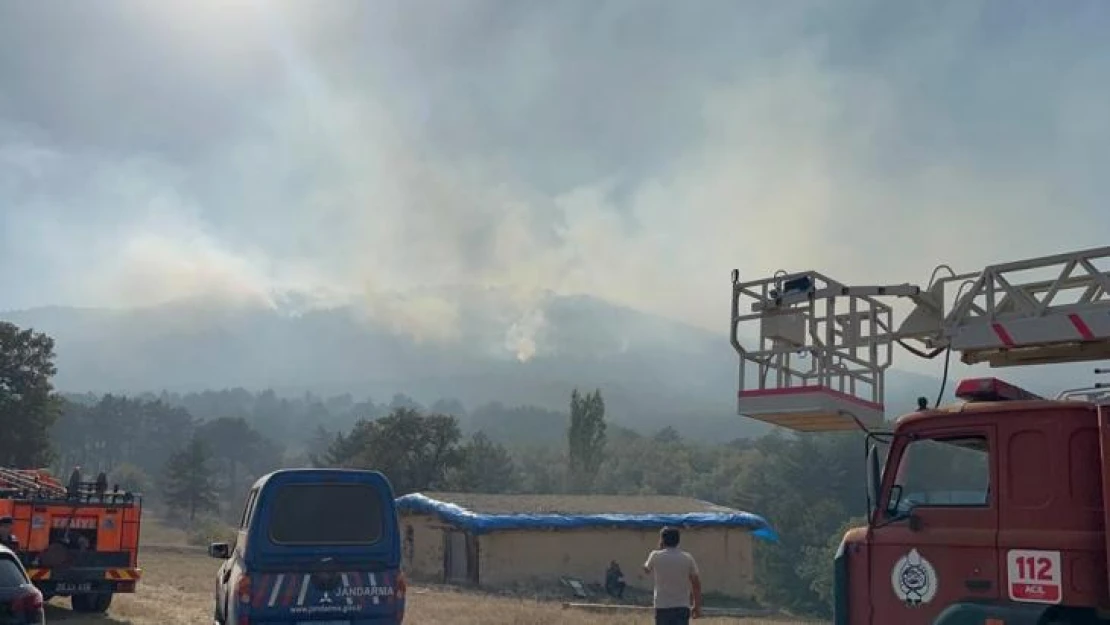 Eskişehir'de çıkan orman yangınına müdahale devam ediyor