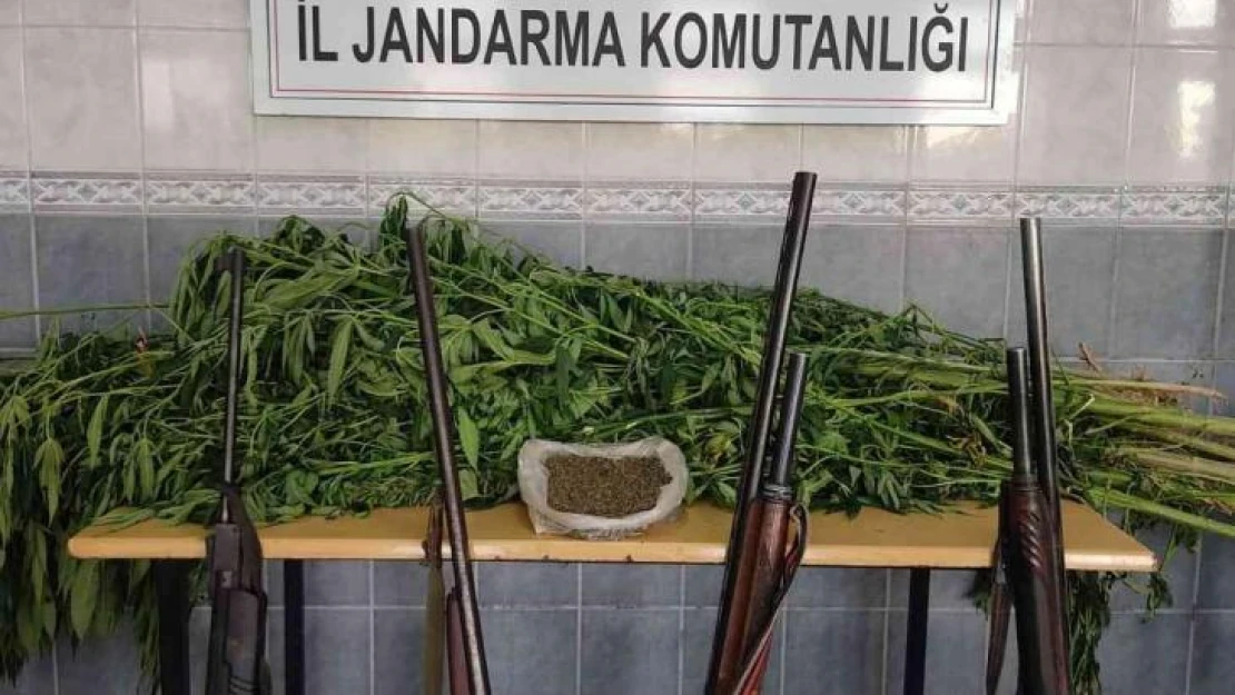 Esrar ve kenevirlerin ele geçirildiği bağ evinin sahibi aranıyor