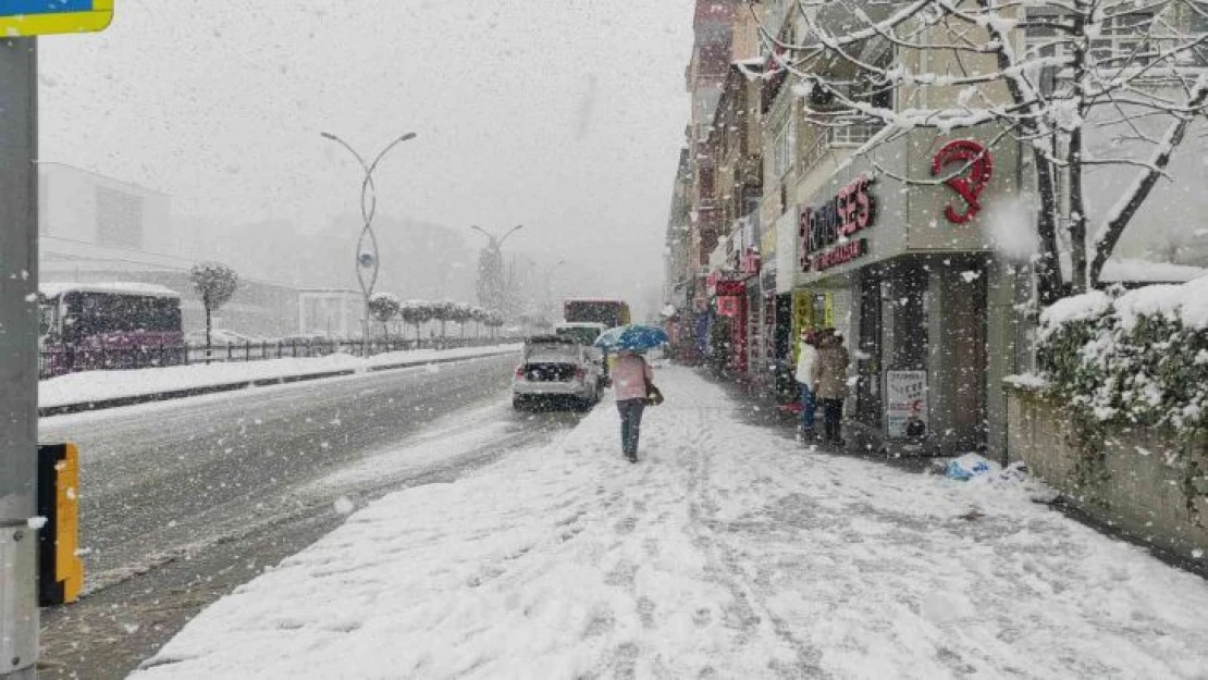 Etkisini arttıran kar Sakarya'yı beyaza bürüdü