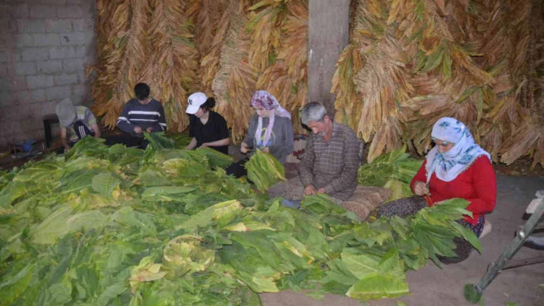 Fedakar çift tütünden kazandığı parayla çocuklarını okutuyor