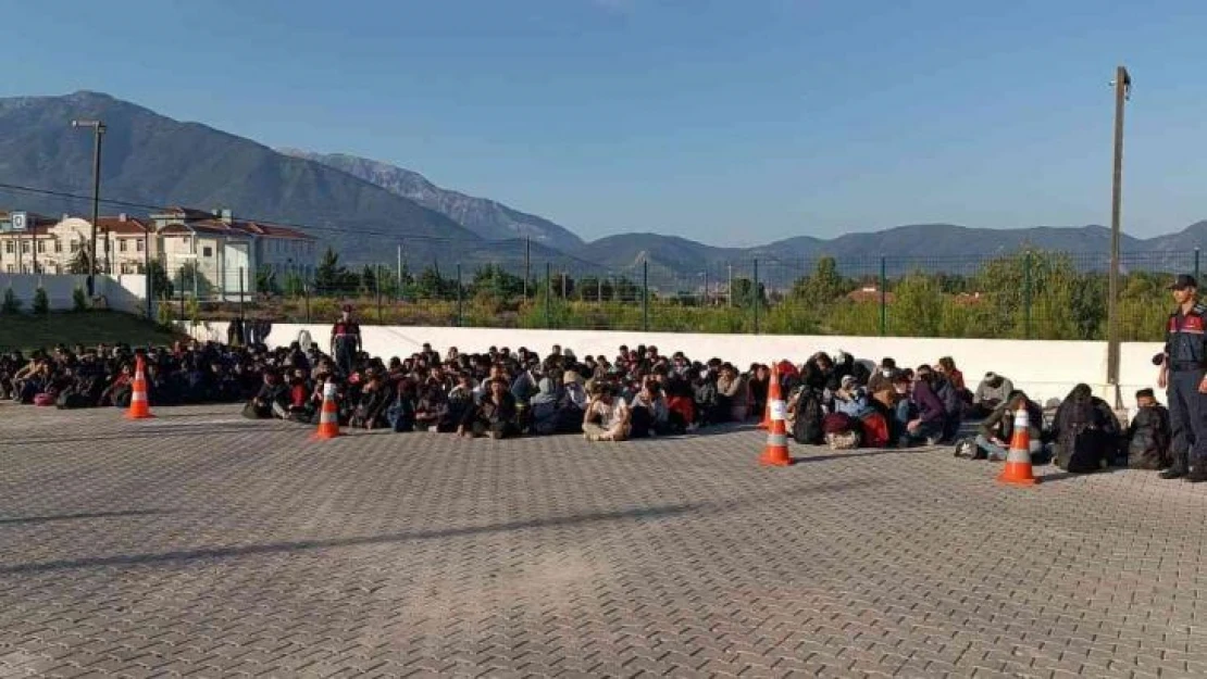 Fethiye'de 240 düzensiz göçmen yakalandı