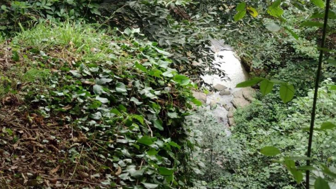 Fındık bahçesinden dereye yuvarlanan 4 yaşındaki çocuk hayatını kaybetti