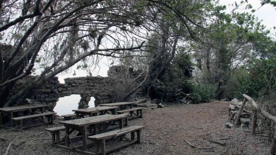 Giresun Adası'na gezi yasağı kararına turizmcilerden tepki