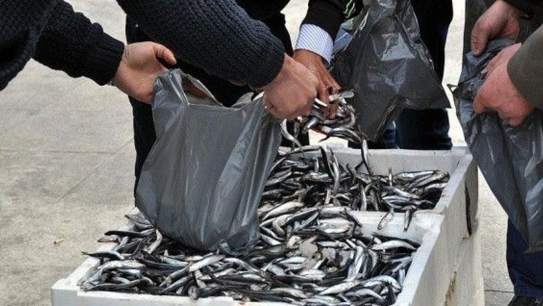 Hamsinin fiyatı 8 liraya kadar yükseldi