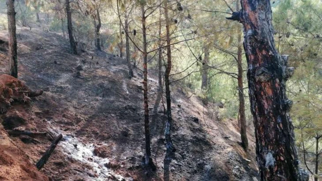 Hatay'da ormanlık alanda çıkan yangına müdahale sürüyor