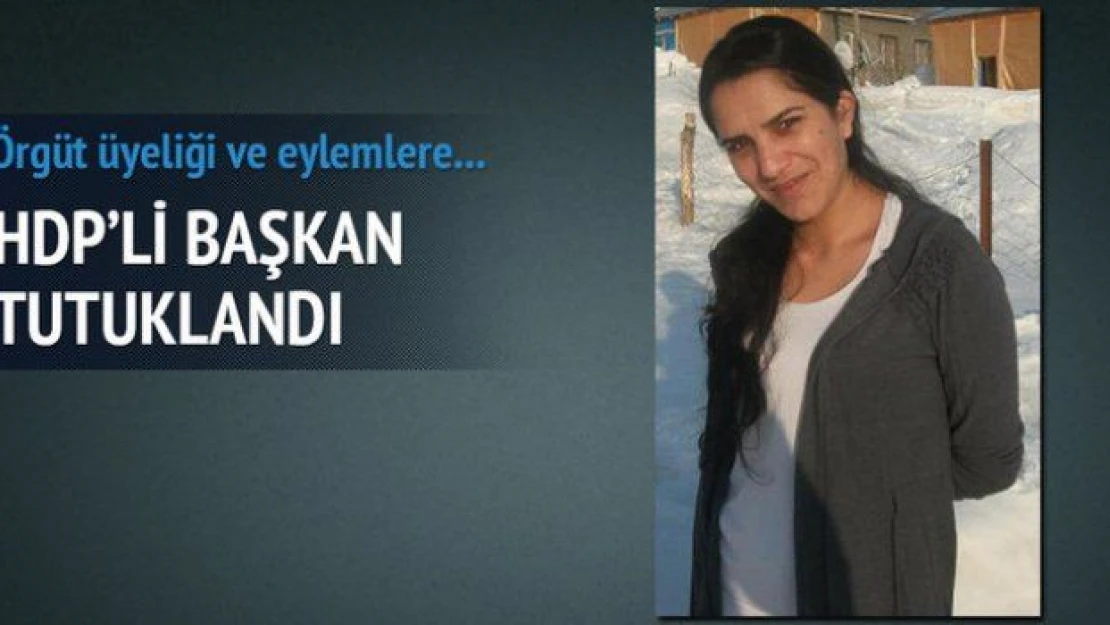 HDP Varto İlçe Başkanı &quotterör&quotden tutuklandı