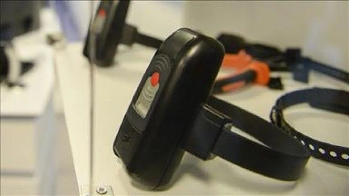 Hollanda Ortadoğu'dan dönenlere elektronik kelepçe takacak