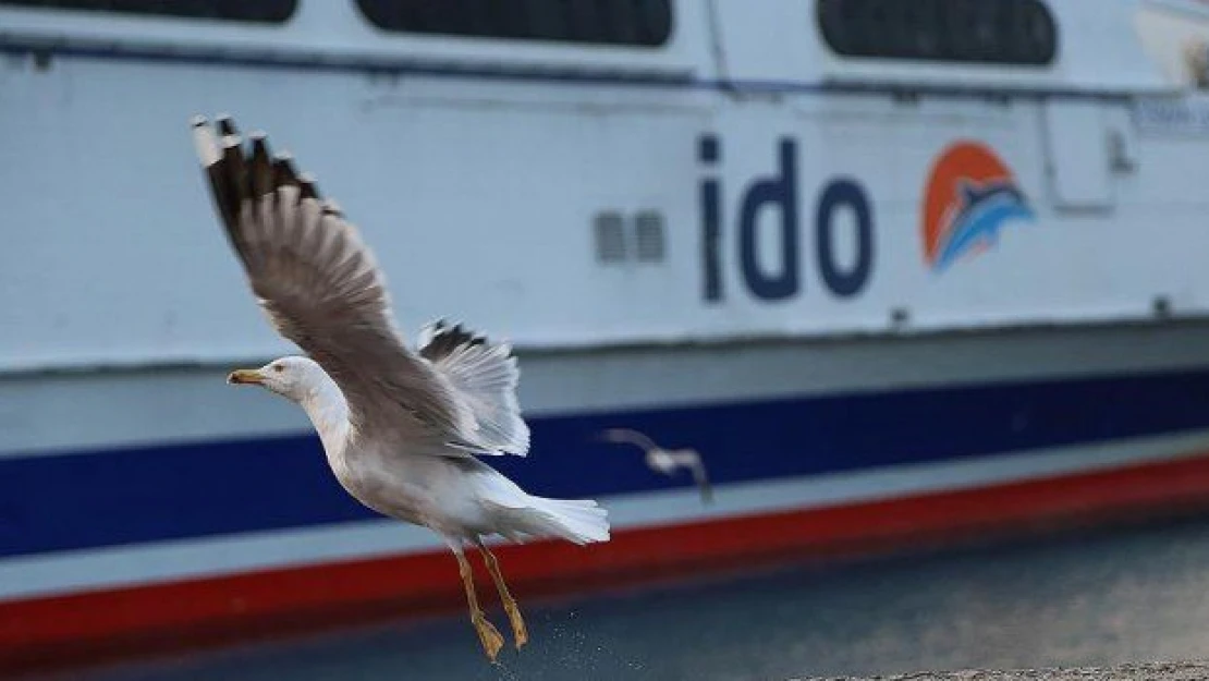 İDO tüm iç hat seferlerini iptal etti