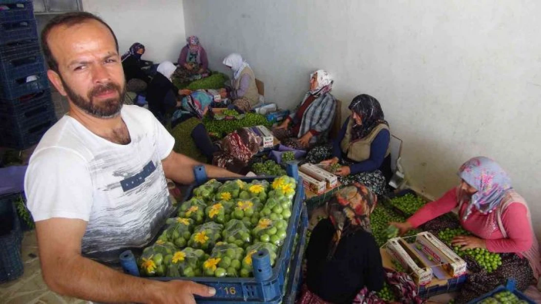 İlk çıktığında 500 liraydı, şimdi kilosu 20 ila 50 lira arasında satılıyor