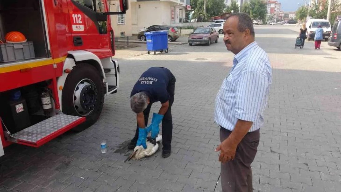 İlk uçuşunda yorgun düşen yavru leyleği yuvasına itfaiye ekipleri bıraktı