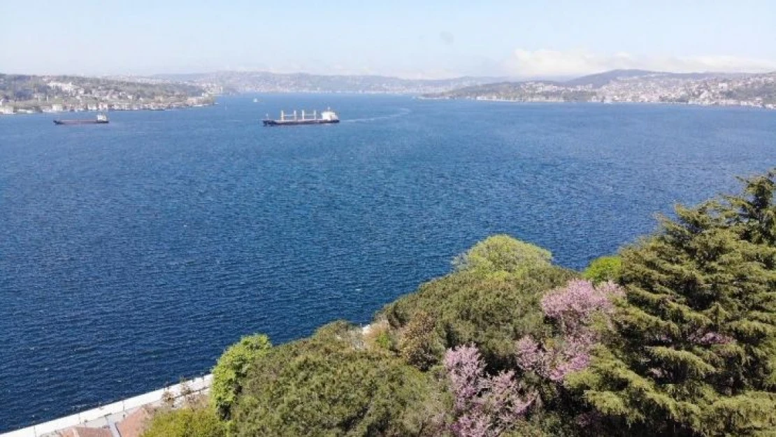 İstanbul Boğazı'nda çiçek açan erguvanlar kartpostallık görüntüler oluşturdu