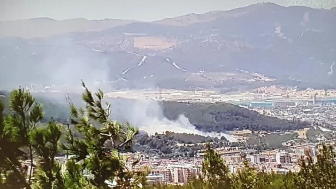 İzmir'de ağaçlık alanda yangın kontrol altında